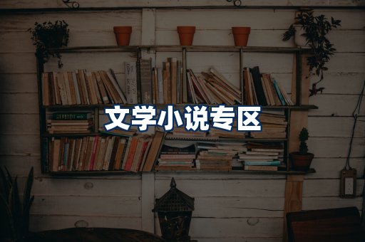 文学小说PDF展示